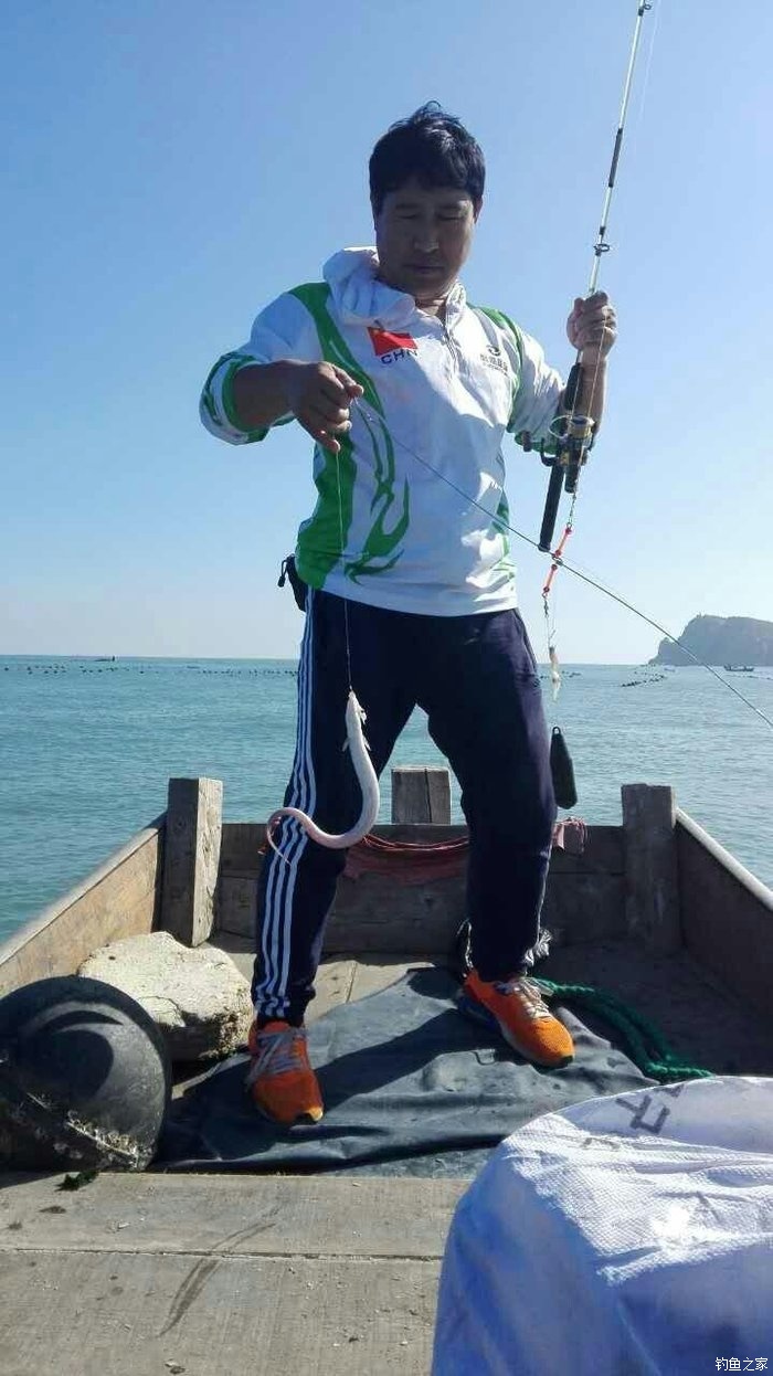 釣黃鱔技巧視頻教程_黃鱔釣法視頻教程_釣黃鱔視頻
