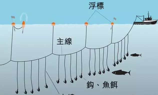 釣黃鱔技巧視頻教程_黃鱔釣法視頻教程_釣黃鱔視頻