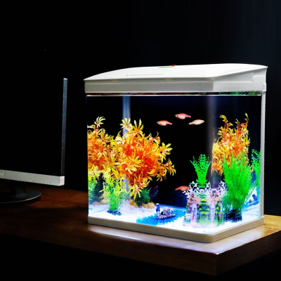長久金魚養活得才能長大嗎_長久金魚養活得才能養嗎_金魚怎么養才能活得長久