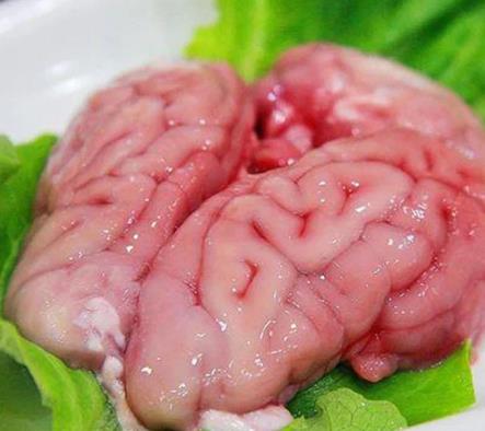 七彩鳳凰瓷磚_七彩鳳凰_七彩鳳凰手表