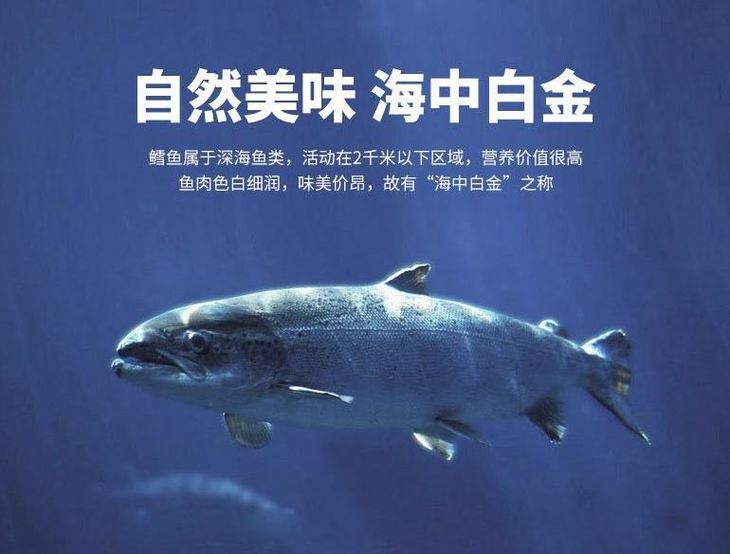 鱈魚是海魚還是淡水魚_淡水魚鱈魚海魚是一種魚嗎_淡水魚鱈魚海魚是一樣的嗎