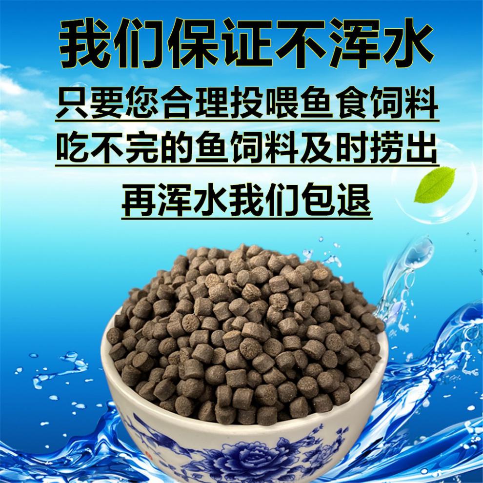 成吉思汗鯊魚_成吉思汗鯊魚怎么樣_成吉思汗鯊魚是底層魚嗎