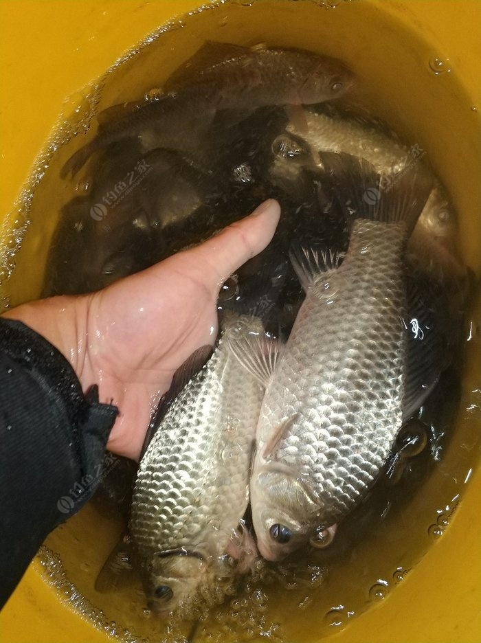 海釣技巧_海釣技法_海釣如何釣