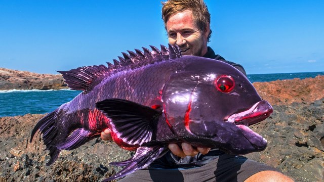 釣魚四海頻道_四海釣魚_四海釣魚頻道在線觀看