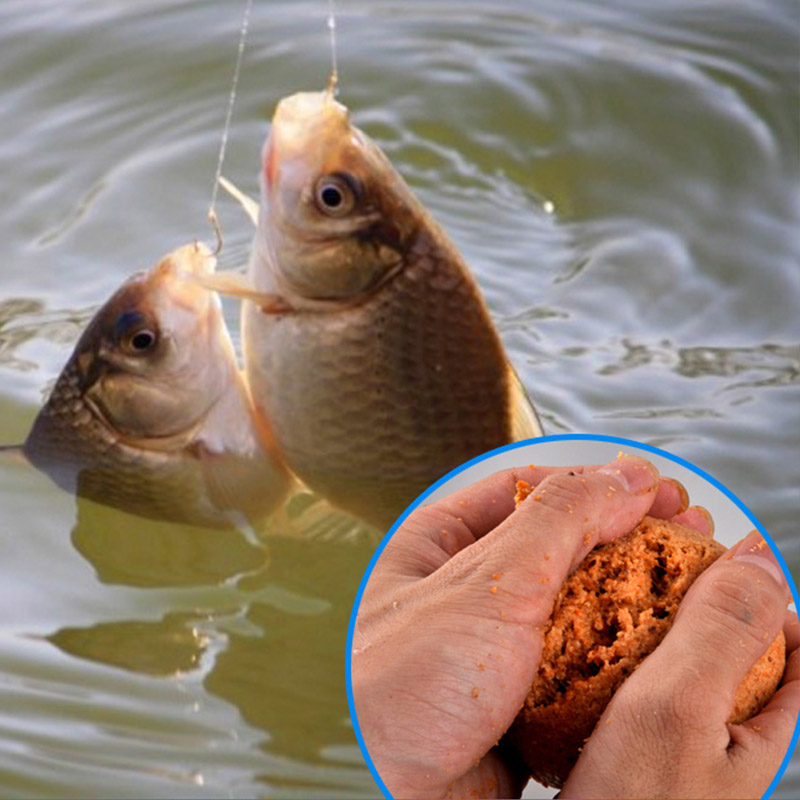 秋季釣鯽魚技巧_釣秋季鯽魚技巧視頻_秋季釣鯽魚的技巧