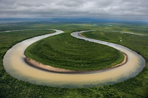 大馬魚多少錢一斤_大馬哈魚多少錢一斤_大馬魚做法