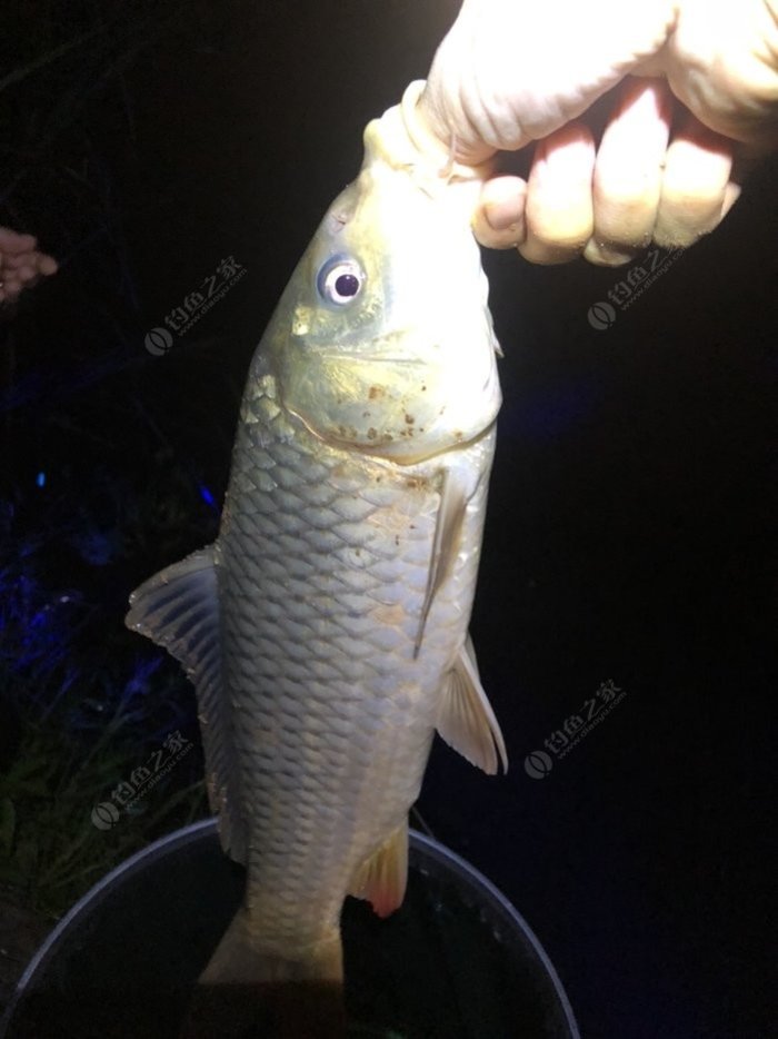 立式魚漂的綁法圖解_立式浮漂綁法視頻教程_立式魚漂的綁法視頻
