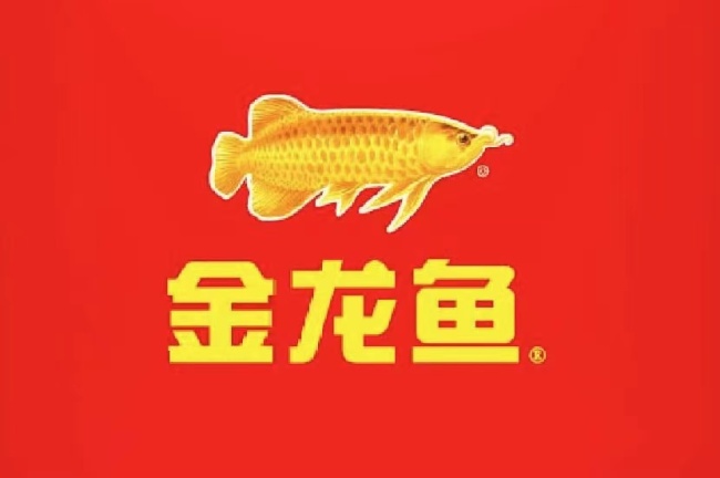 銀龍魚多少錢一條_觀賞魚銀龍多少錢一條_銀龍魚價格多少錢一條