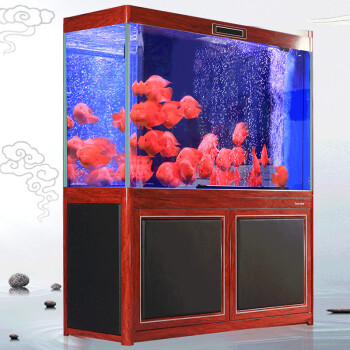 銀龍魚怎么養_養魚銀龍養幾條好_養魚銀龍好還是七彩神仙魚好呢