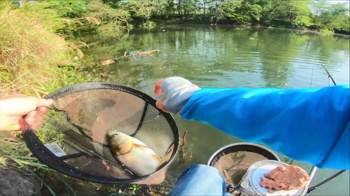 釣水庫技巧大全_釣魚水庫技巧和方法_水庫釣魚技巧