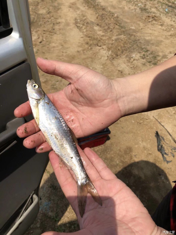 釣箱釣椅怎么選擇_釣箱釣椅哪個實用_釣箱好還是釣椅好