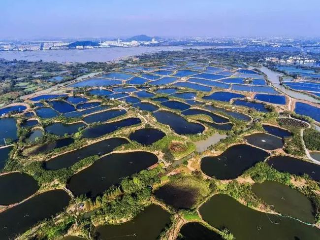 魚塘的設計_設計魚塘圖要求有哪些_魚塘設計要求及設計圖