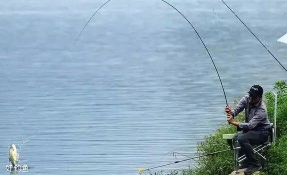 四海釣魚頻道在線觀看_四海釣魚免費觀看_四海釣魚