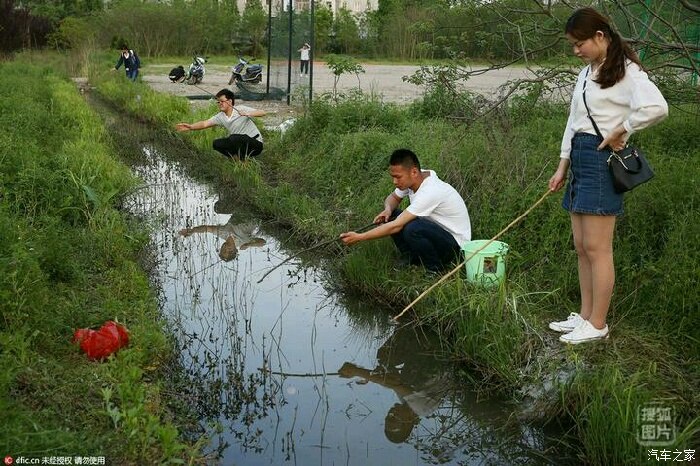 釣魚上海_上海釣魚網_上海釣魚網app