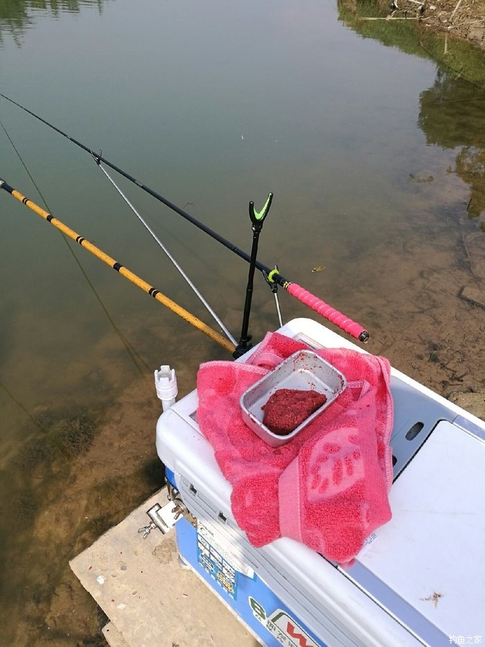 鯉魚海竿怎么釣_河邊用海竿釣鯉魚用哪種飲配方_海竿河釣鯉魚技巧?