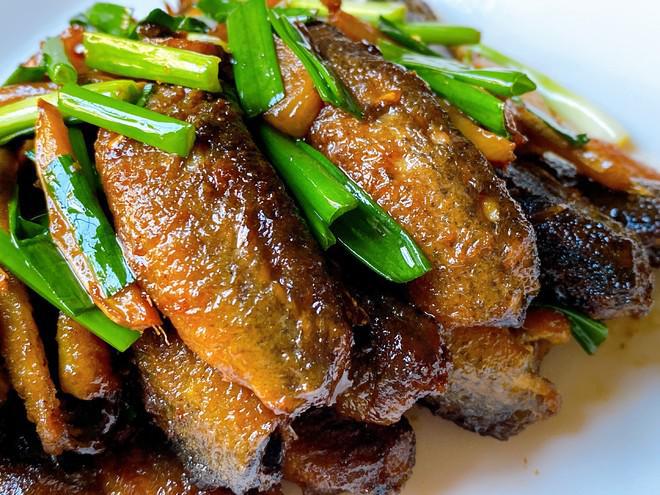 羅非餌料配方_羅非餌料配方大全免費_羅非餌料制作