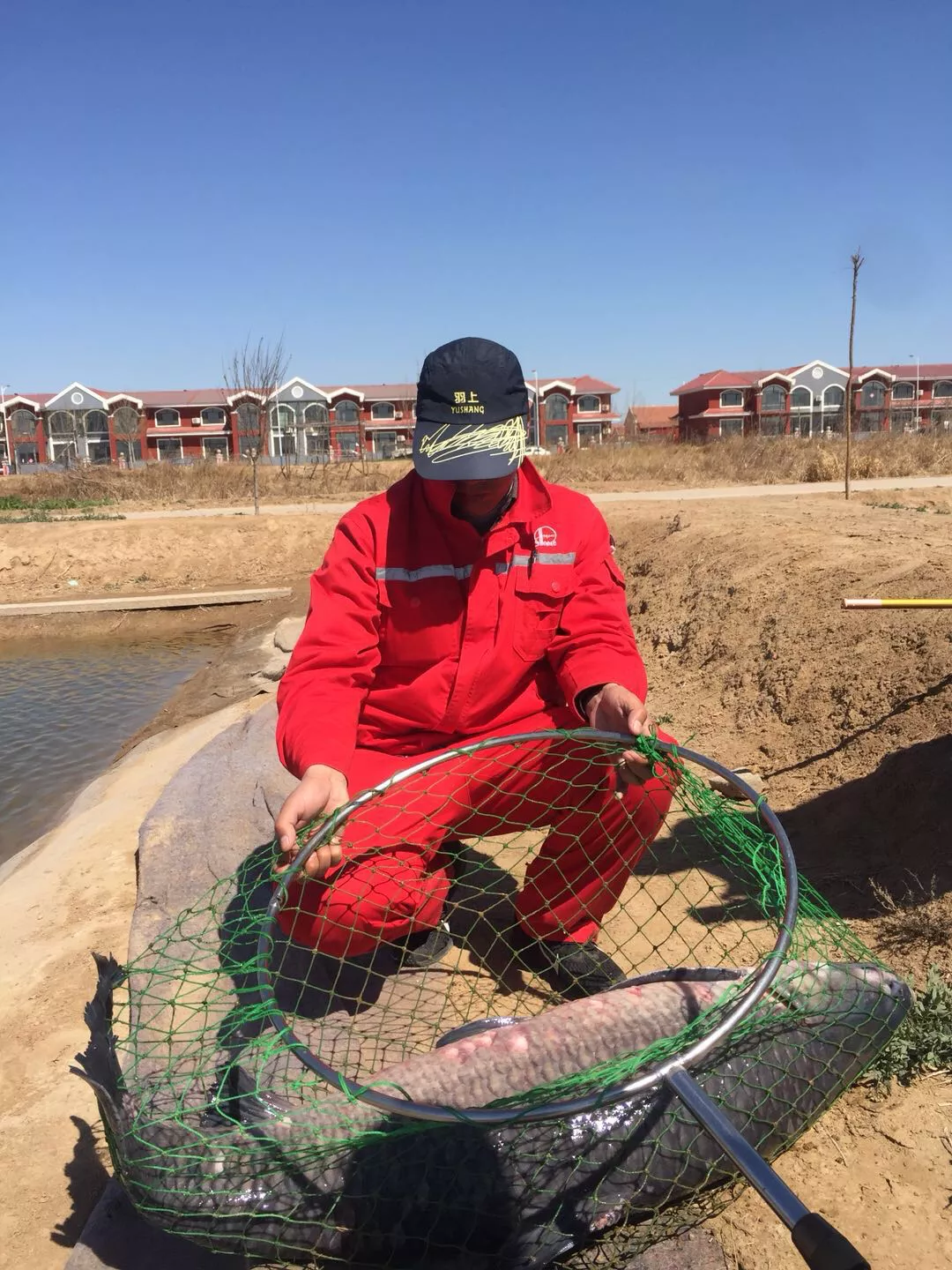 10克青魚石值多少錢_青魚石多少錢一克_青魚怎么沒有青魚石