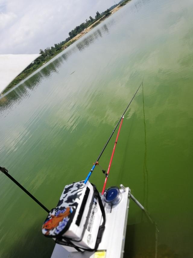 光威魚竿_魚竿光威怎么樣_魚竿光威和創威哪個好