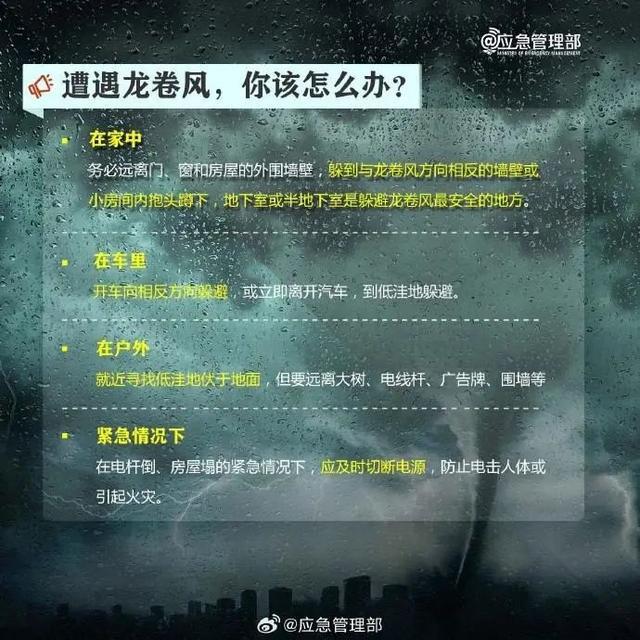 燈彩街西延_三墩鎮燈彩街_古墩路燈彩街