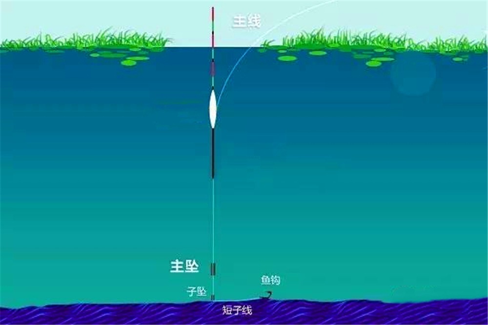 太空豆的正確使用方法_怎樣使用太空豆_7+2太空豆使用方法
