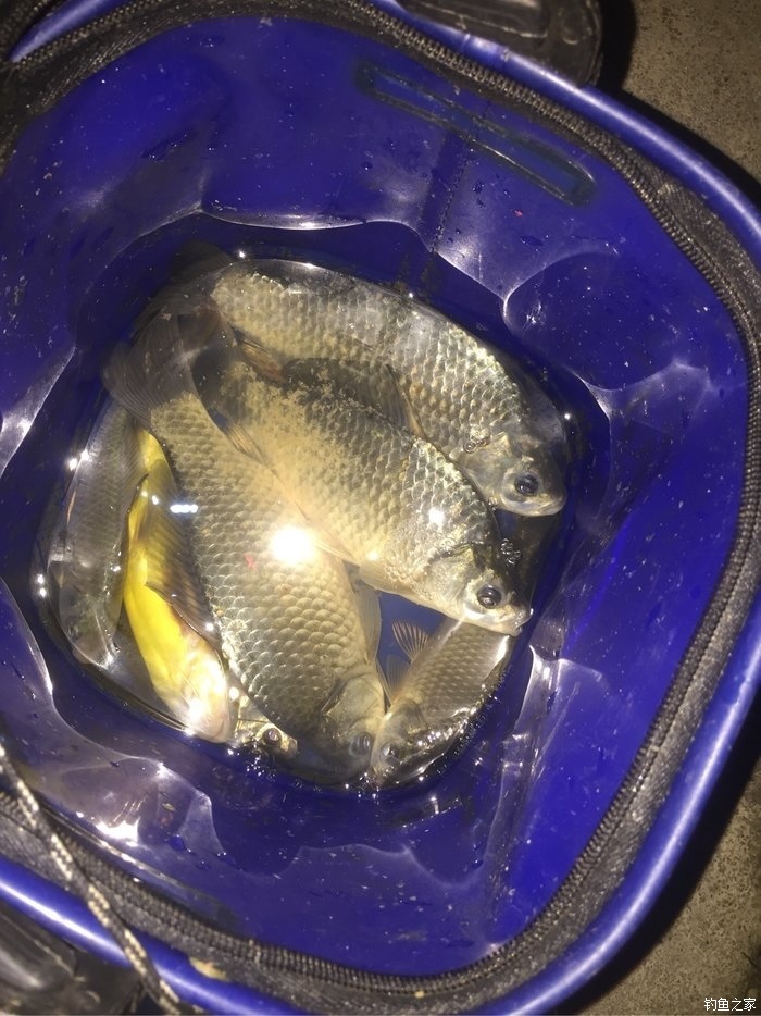 魚釣法路亞翹嘴怎么釣_路亞翹嘴怎么釣_路亞翹嘴魚的釣法