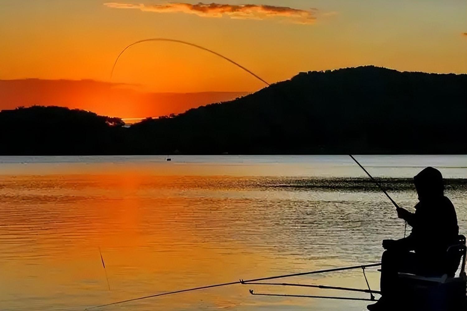 四海釣魚頻道_大全_全集-釣魚之_四海釣魚頻道免費收看_釣魚頻道四海釣魚下載