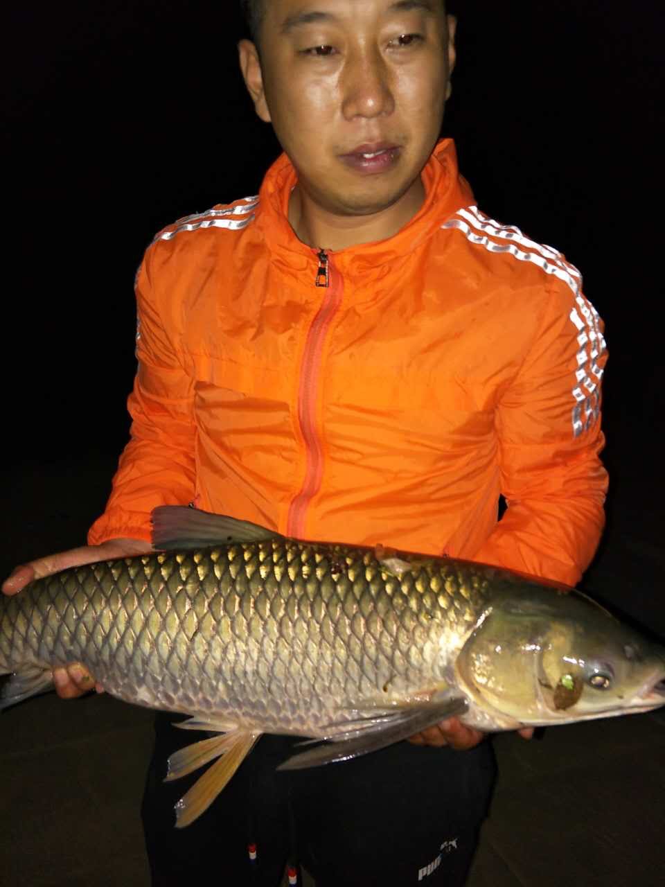 釣魚頻道四海釣魚下載_四海釣魚頻道_大全_全集-釣魚之_四海釣魚頻道免費收看