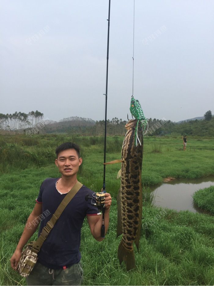 前打竿和磯竿區別_磯竿和前打竿的區別圖片_磯竿跟前打竿有啥區別