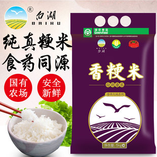 三文魚的魔法人生_創造與魔法三文魚在哪釣_釣高級三文魚