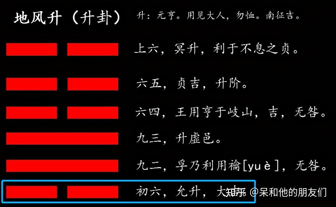 酒曲是什么菌種_酒曲是什么東西_曲酒是什么酒