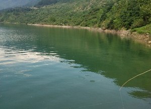 春季釣魚技巧_釣魚春季技巧圖解_春季釣魚技巧大全