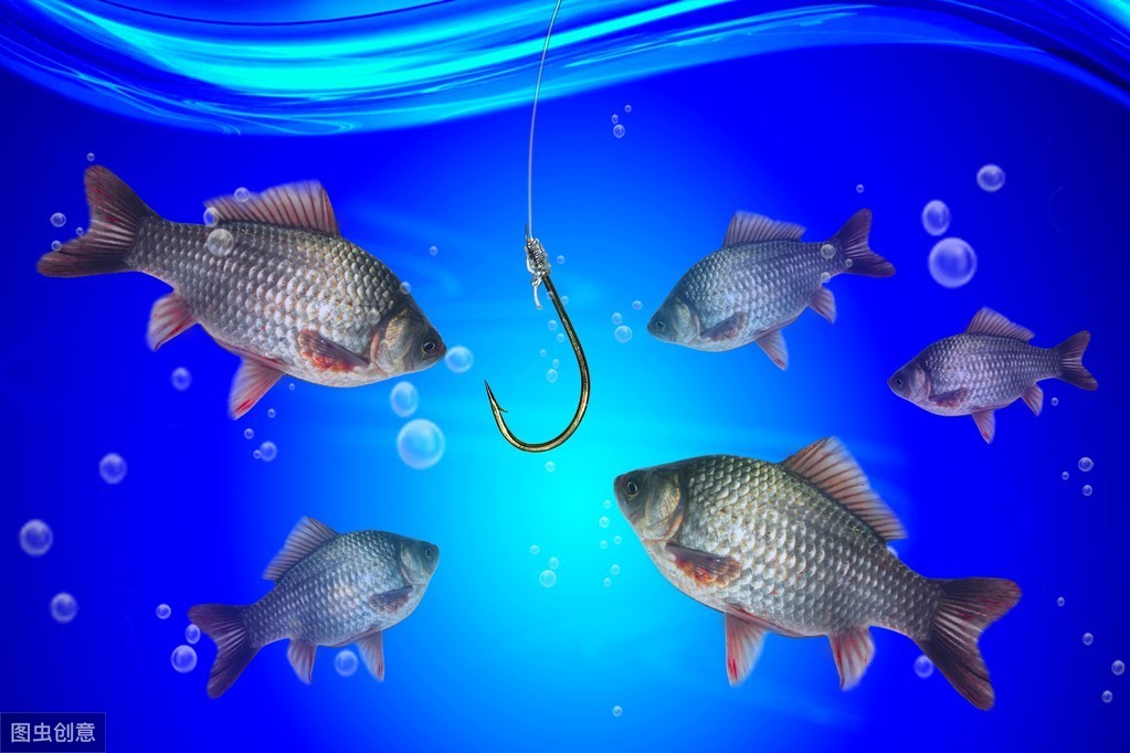浙江釣魚論壇首頁_浙江釣魚論壇_浙江釣魚網