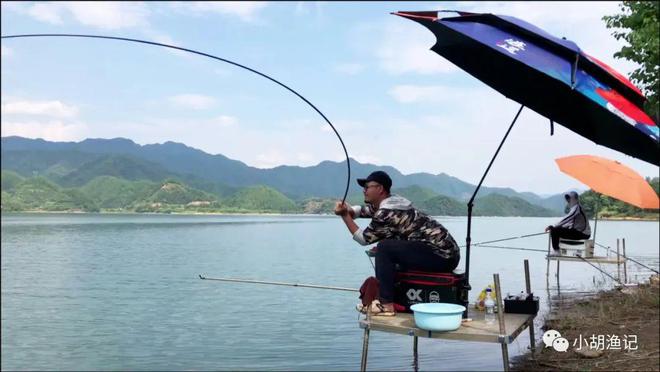 釣魚3d視頻_釣魚系列視頻_三木先生傳統釣魚視頻