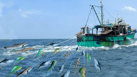 深海垂釣攻略_深海垂釣攻略大全_深海垂釣攻略任務