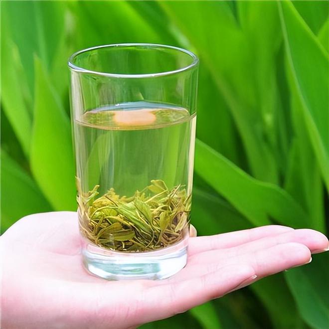 釣鯽魚用啥鉤好_鉤鯽魚用什么料釣最好_釣鯽魚用什么鉤