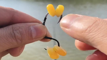 釣草魚怎樣調魚漂調漂最準確_釣草魚用什么餌最好_怎樣釣草魚