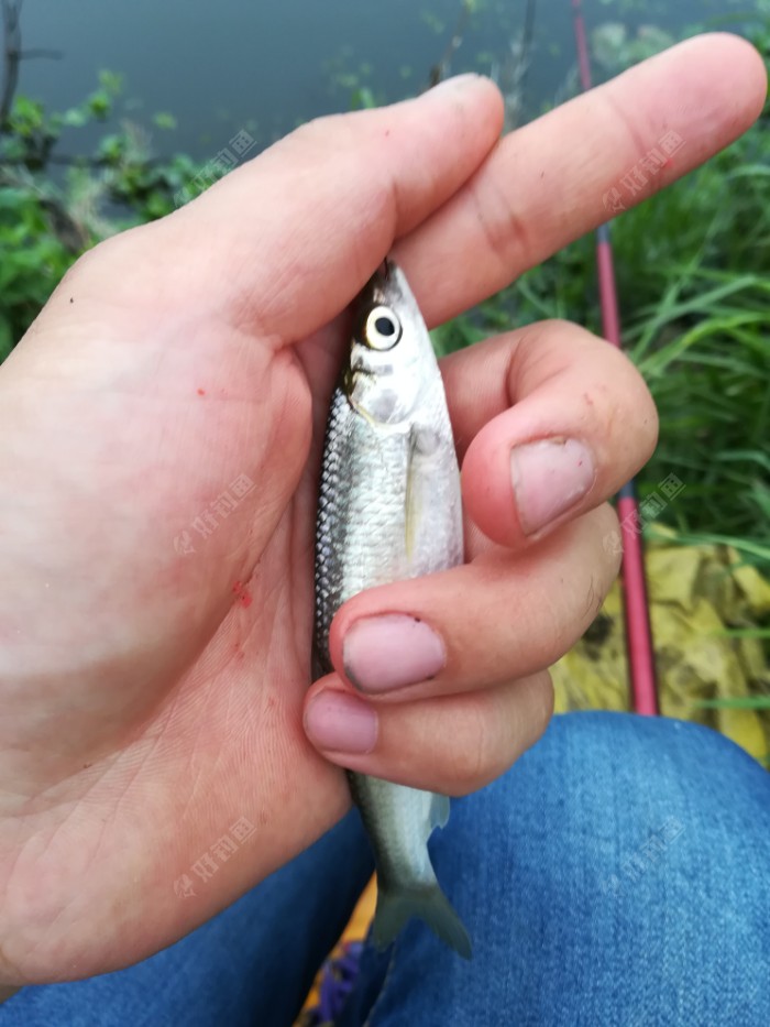 釣魚快速方法調漂找底視頻_釣魚快速方法調漂找底還是浮漂_釣魚調漂找底快速方法