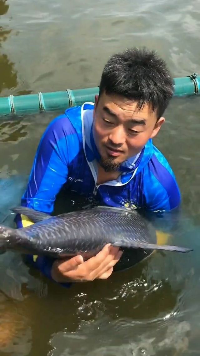 釣視頻大魚大全圖片_釣視頻大魚大全教程_釣大魚視頻大全