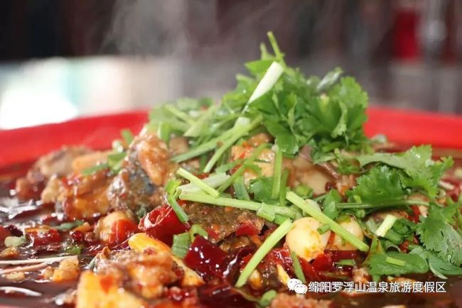 家常鰱魚頭怎么做_鰱魚魚頭的做法大全_鰱魚頭的做法