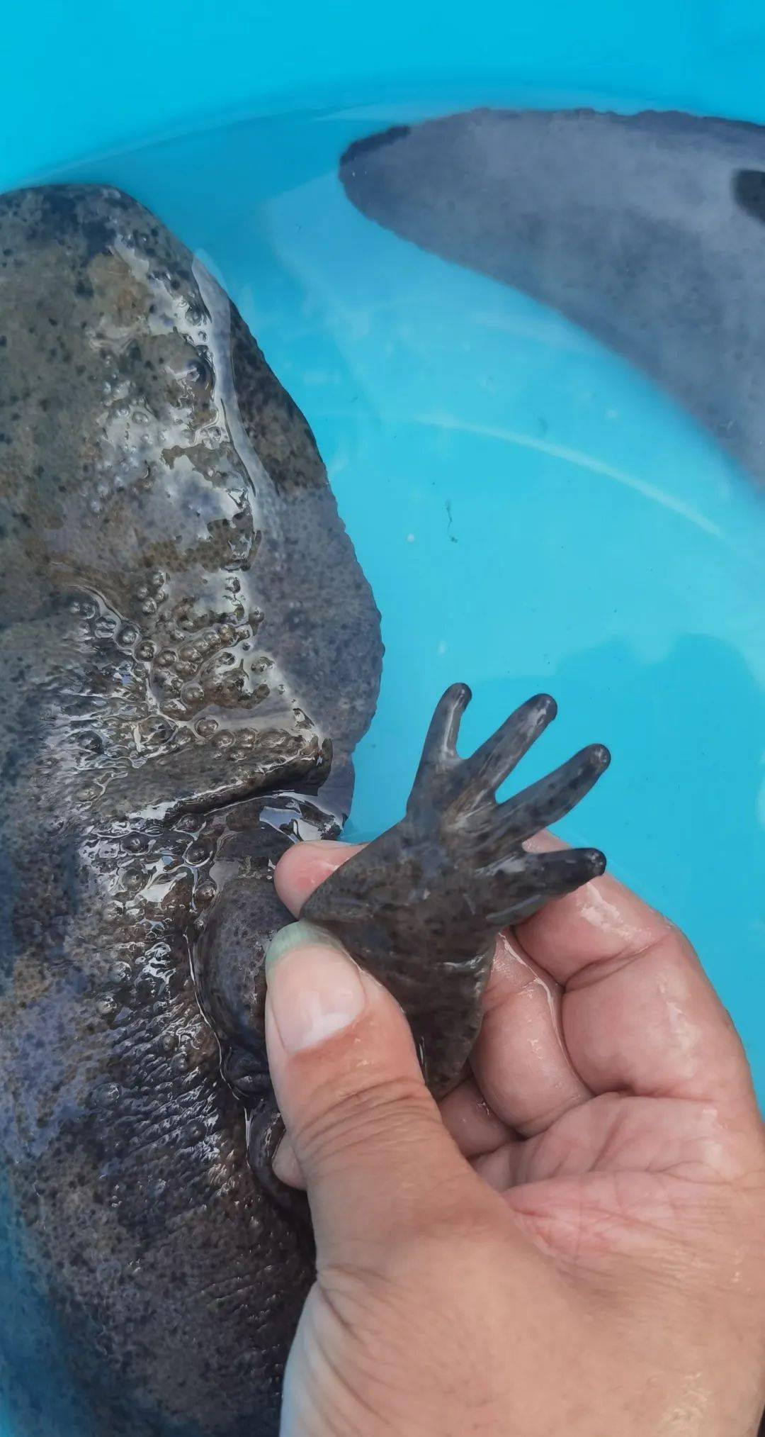 釣魚論壇之家_釣魚論壇_釣魚技巧_釣魚餌料_魚餌配方_釣魚論壇app