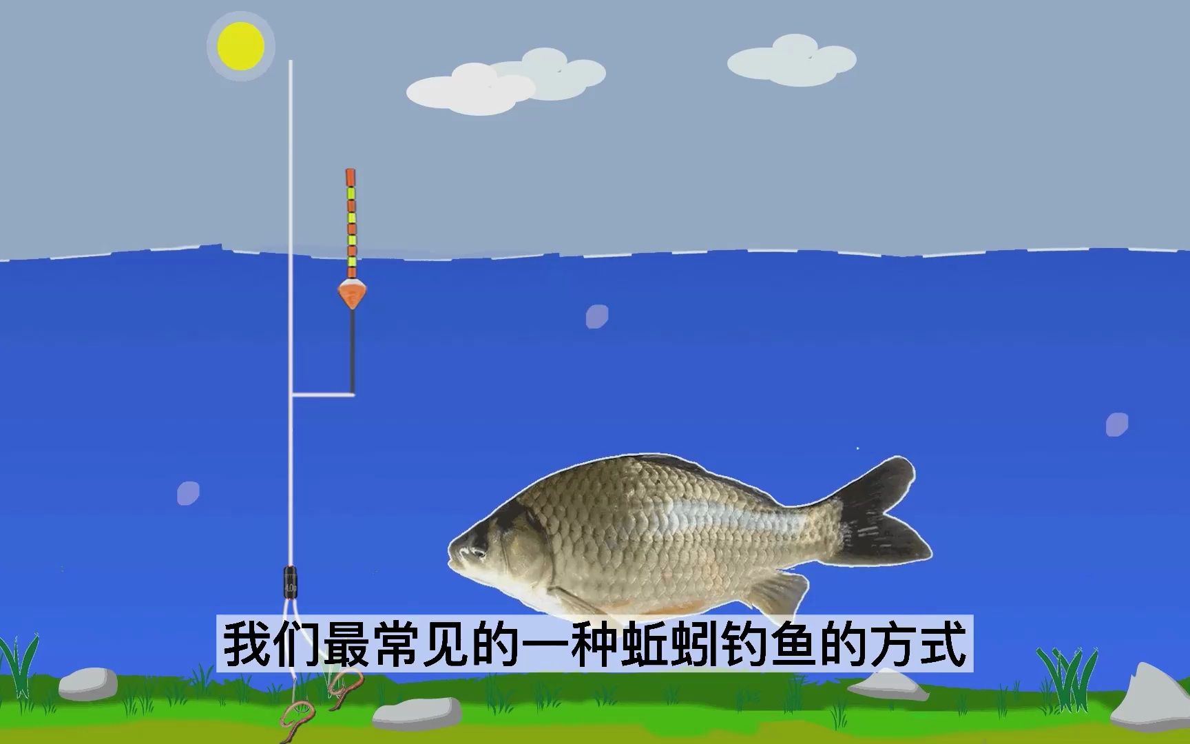 釣魚用蚯蚓怎么樣_釣魚用的蚯蚓如何選擇_釣魚蚯蚓選擇用幾號鉤