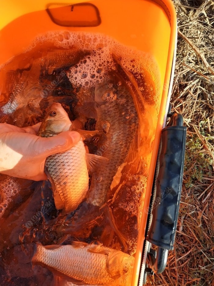 唐山釣魚_在這里的唐山釣魚人咱可以約起來呀_釣魚唐山起來人可以進去嗎