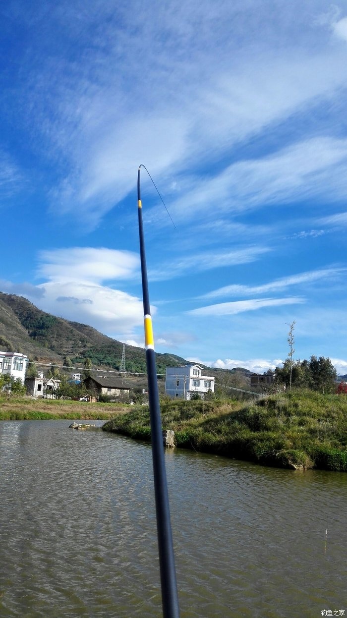 秋季釣鯽魚怎樣選釣位_秋季野釣鯽魚最佳配方_秋季釣魚技巧野釣鯽魚