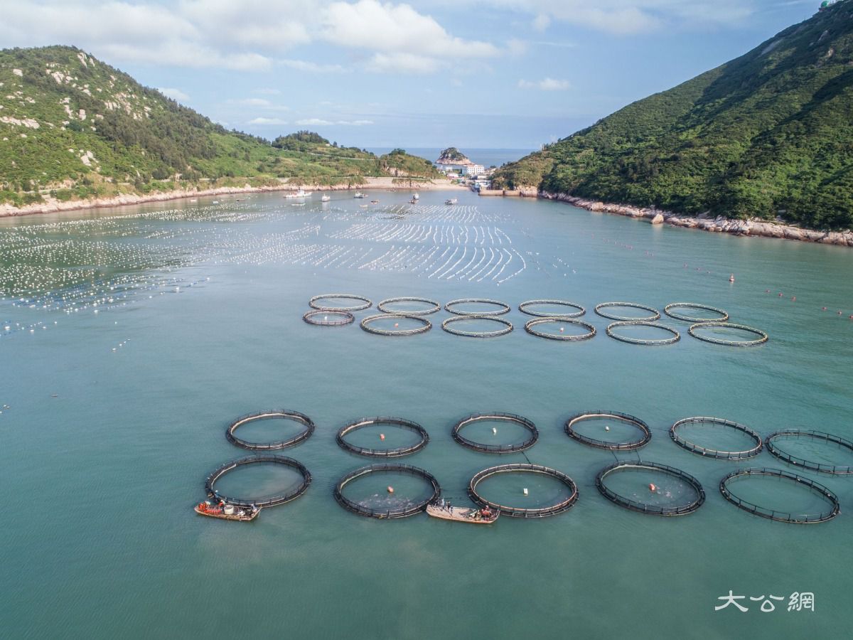秋季野釣鯽魚最佳配方_秋季釣魚技巧野釣鯽魚_秋季釣鯽魚怎樣選釣位