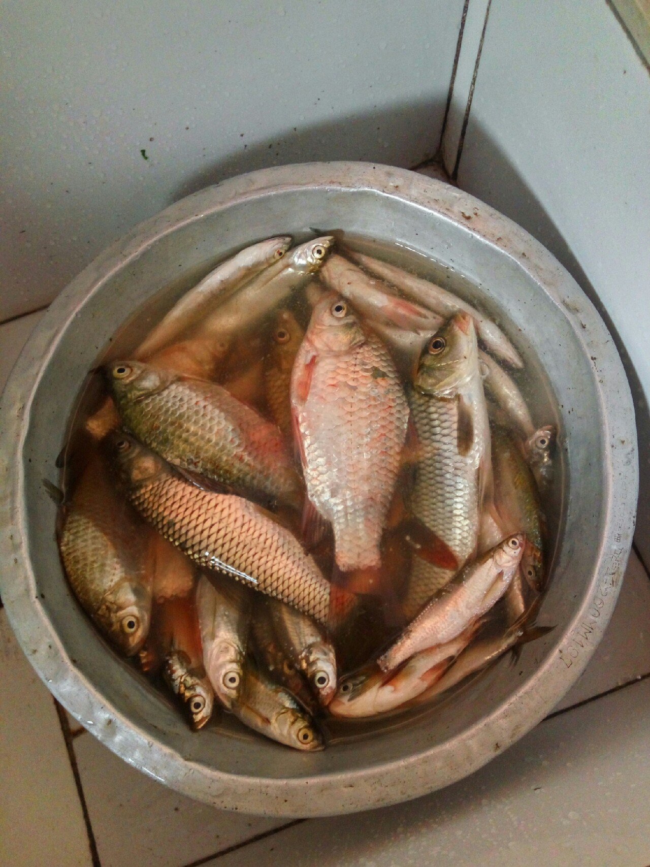 龍王恨漁具集團總部電話_湖北龍王恨漁具集團地址_湖北龍王恨漁具集團有限公司