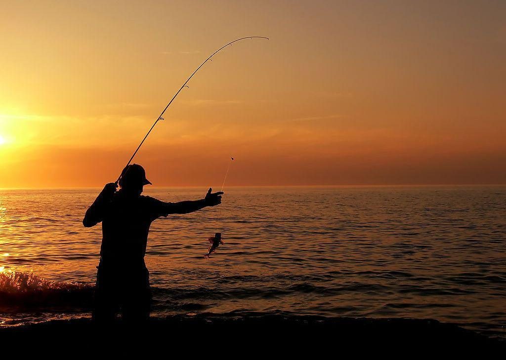 釣魚深秋技巧圖解_深秋釣魚技巧_釣魚深秋技巧和方法