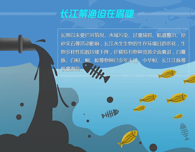 長江無魚之困_長江無鱗魚_孔夫子無糧困陳蔡