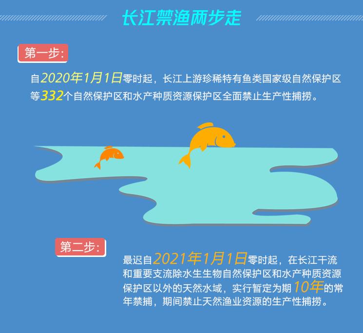 長江無鱗魚_長江無魚之困_孔夫子無糧困陳蔡