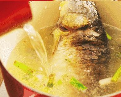 鯽魚野生的圖片_鯽魚野生一年可以長幾兩_49斤的特大野生鯽魚