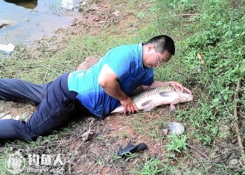 老鬼釣魚視頻游釣世界_老鬼釣魚視頻_釣魚視頻老鬼視頻大全